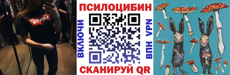 Купить  Касимов  Псилоцибиновые грибы Psilocybe 
