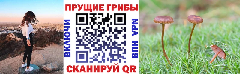 Псилоцибиновые грибы MAGIC MUSHROOMS Касимов